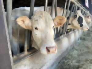 photo Portes-ouvertes la tournée des fermes