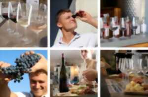 photo GRAPPES ET DÉGUSTATION : L'ATELIER VENDANGES- CHÂTEAU BOISSET