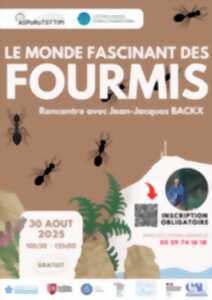 photo Rencontre avec Jean-Jacques BACKX : Le monde fascinant des fourmis