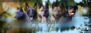 photo Concours ring