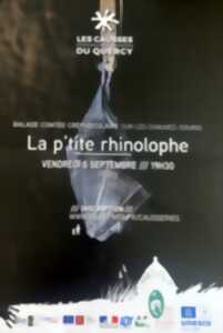 photo La p’tite rhinolophe : balade contée crépusculaire sur les chauves-souris