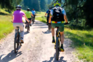 photo Séjour en vélos vers les oiseaux de la Brenne