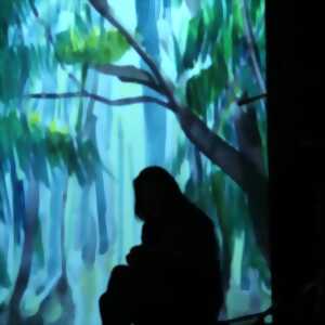 photo Actions culturelles - Personnages totem