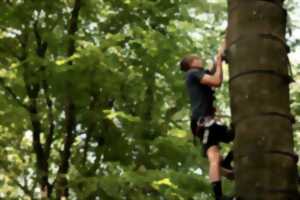 photo Escalad'arbre en libre accès