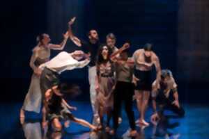photo LE GRAND BAL Compagnie Dyptik