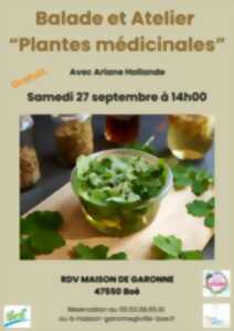 photo Le 48H Nature : Balade et atelier de confection sur les plantes médicinales