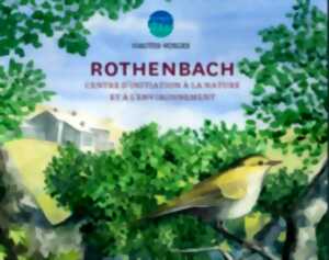 photo Animation nature : Pollinisateurs sauvages des Hautes-Vosges
