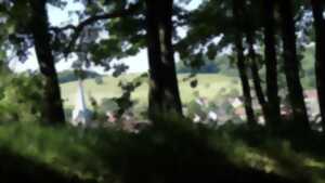 photo Visite commentée de Roderen en calèche
