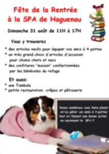 photo Fête de la rentrée
