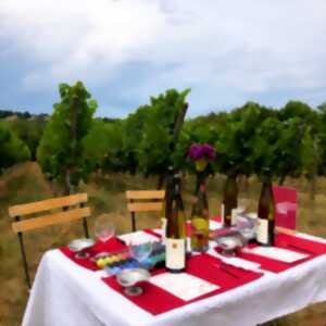photo Atelier peinture sur bouteille dans les vignes