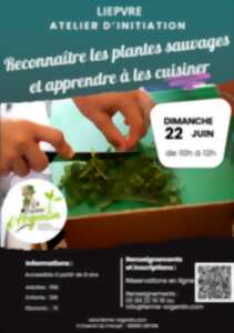 photo Apprendre à reconnaître et a cuisiner des plantes sauvages