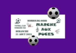photo Marché aux puces de Horbourg-Wihr