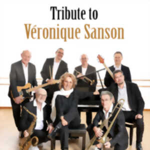 photo Concert : Chansons pour une drôle de vie Tribute Véronique Sanson
