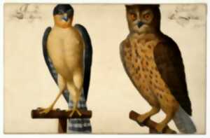 photo Les animaux dans l’art graphique ancien