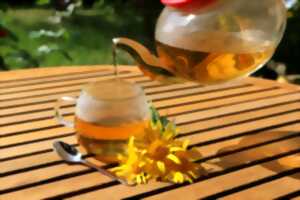 photo Gaïa Terre-Happy : Pause Tisane au Beau Jardin