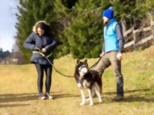 photo Cani-balade avec la meute de Youk Valley - Nouveauté !