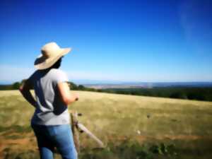 photo Sortie nature et patrimoine