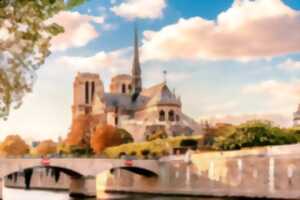 photo Micro-folie en liberté : rebâtir Notre-Dame