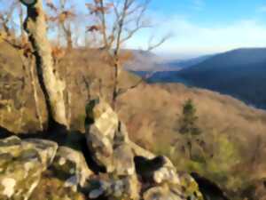 photo Visite guidée : Vosges mystérieuses