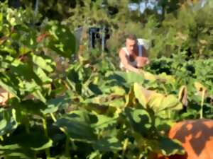 photo Balade au cœur d’un jardin durable et vivant