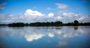 photo Le Rhin source de vie