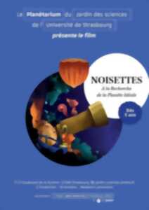 photo Spectacle : Noisettes