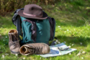 photo Berstett Rando : Les chaumes de Grendelbruch