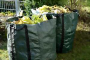 photo Ramassage de déchets verts