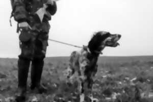 photo Chasse - Battues sur le terrain militaire