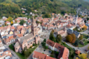 photo Visite : Découvrez Munster en famille