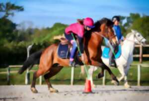 photo Concours de Pony Games