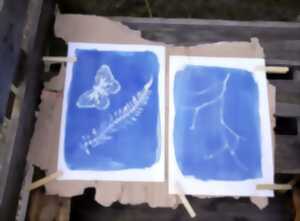 photo Atelier : atelier cyanotype