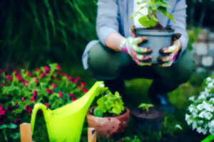 photo Papotage et jardinage