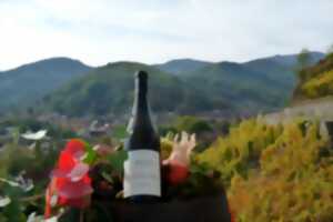 photo Vignoble en scène