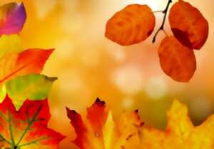 photo Les couleurs de l'automne à la Gutlach