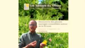 photo Découverte des plantes sauvages coméstibles