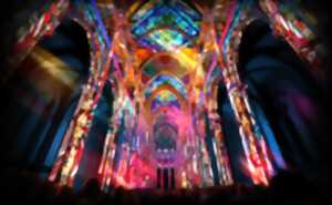 photo Luminiscence - Spectacle immersif dans la cathédrale