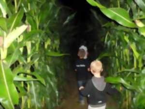 photo Labyrinthe nocturne à la ferme Kieffer