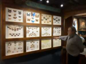 photo Découverte du monde des insectes