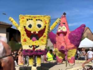photo Fête de la Mirabelle et Corso Fleuri