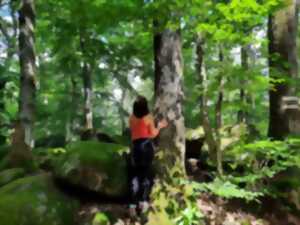photo Bain de foret - Initation à la sylvothérapie