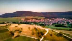 photo Balade sur le sentier viticole d'Orschwihr suivie d'une dégustation commentée par un vigneron