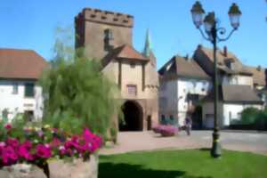 photo Visite du musée de la porte de Thann à Cernay