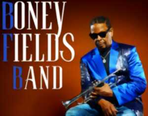 photo Concert : Boney Fields Band