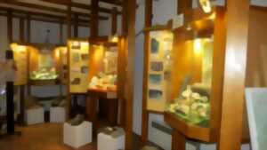 photo Musée de la géologie