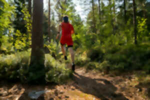 photo Trail du Fleckenstein