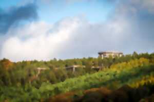 photo Expérience : Dîner Insolite au Chemin des Cimes avec la Maison Daniel Rebert