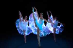 photo We call it Ballet