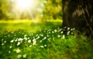 photo Chantier nature participatif