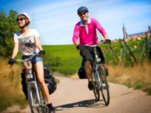 photo Louez votre vélo à assistance électrique